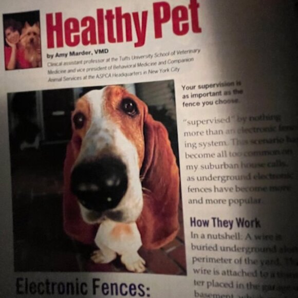 2/$40 Prevention Magazine Walk Off Weight Health News Home Remedies Sept 1999 - Picture 5 of 8